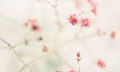 1990年属马微信网名（1990年属马网名名字大全）