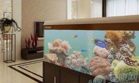 家里客厅养几条鱼最招财（家里养几条鱼风水最好）