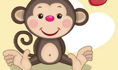 2023年属牛人的全年每月运势如何（属牛2023年运势及运程详解每月）