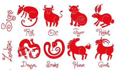 属相真的能决定婚姻吗（历史上属相不合的好夫妻）