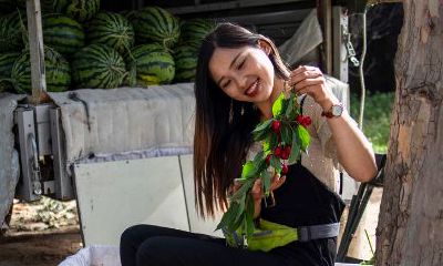 双子座喜欢什么座的人（双子座女生喜欢什么样的人）