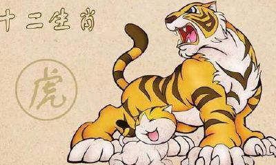 属猴的情人是什么生肖（属猴人一生被谁所害）