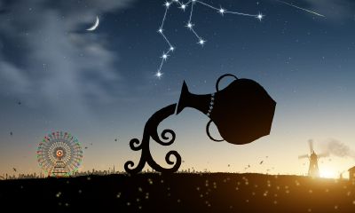 什么星座会爱上双子座女（双子座会败给什么星座）