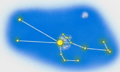 性子最急的星座女（看似傻其实最精明的星座女）