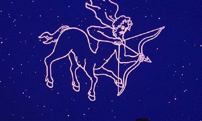 每个月份对应的星座（狮子座男生的真实性格）