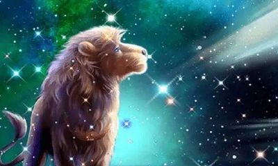 狮子座会发脾气吗（狮子座的脾气到底有多不好）