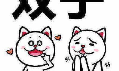 双子座女生不能追（怎么追双鱼座的男生）