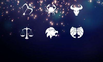 属狗金牛男的爱情观（属狗男最想娶的老婆是）