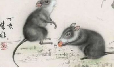 2023属鼠的年龄全部（属鼠的年份及年龄）