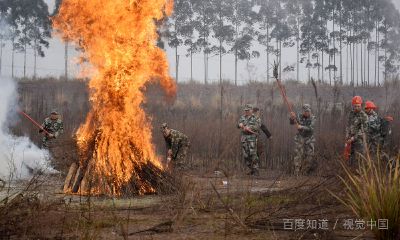 乙巳日柱命运（乙巳日柱男命妻子长相）