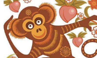 十二生肖猴的年份表（十二生肖最佳婚配表）