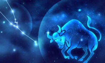 金牛男主动靠近你（金牛男不主动联系却秒回）