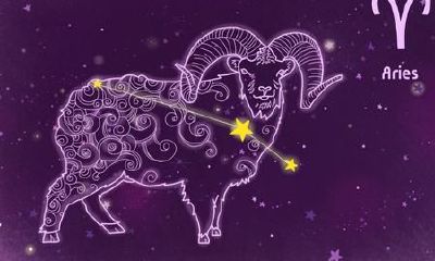 白羊座女适合养什么宠物（白羊座适合养什么宠物）