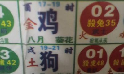 农历8月14日属什么生肖（农历十月属什么生肖）