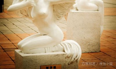 水瓶座出美女（水瓶座男生性格特点）