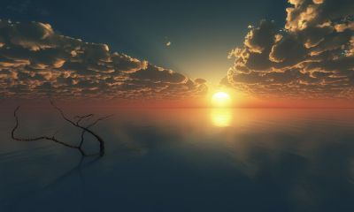 73年属牛的命运（1973年属牛人的命运）