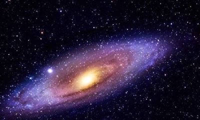 仙女座是双子座吗（仙女座是什么星座）