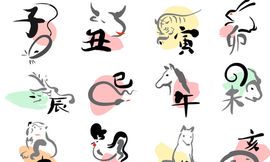 2023年属兔男孩的是什么命（2023年出生属兔的命运怎么样）