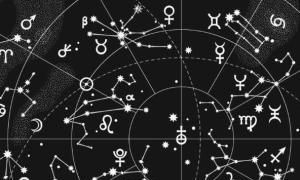 一月到十二月的星座（十二星座最聪明第一名）