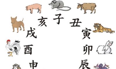 12生肖的破月列表（十二生肖男女破月月份）
