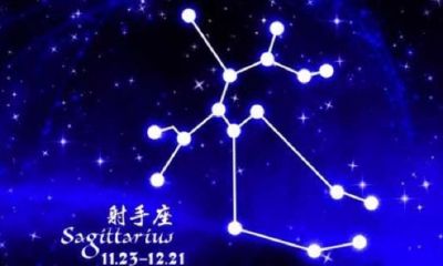 射手座长大后是什么职业女（十二星座未来的职业）
