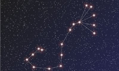 处女座瞬间冷淡（82年属狗一生三大劫）