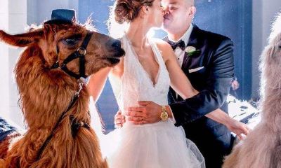 12星座命中注定的一对（12星座命中注定的夫妻）