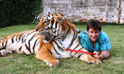 父母孩子都属虎好不好（属虎的大人物一般出生在几月）