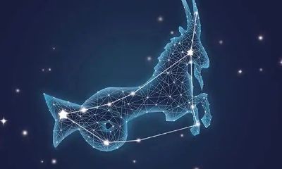 2023年9月星座运势（2023年十二星座整体运势）