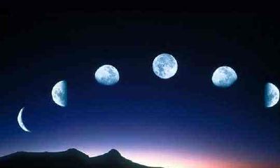 天蝎第三季达达兔（生肖鼠未来十年运势）