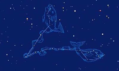 双鱼座喜欢话痨吗（双鱼座容易吃醋吗）