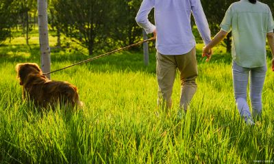 金牛男确定关系后反而冷淡（对付金牛男忽冷忽热绝招）