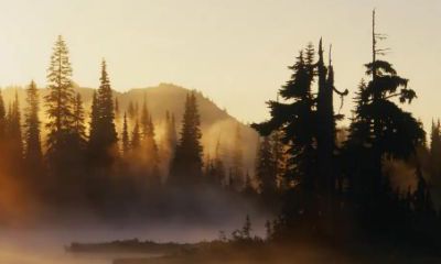 男孩子取名字大全姓胡（姓胡的孩子怎么取名）