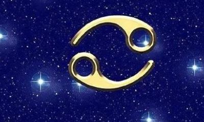 天蝎的最爱还是双鱼啊（天蝎为什么这么喜欢双鱼）