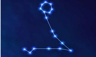 处女座女生的性格分析8月30日（狮子座女生性格特点）