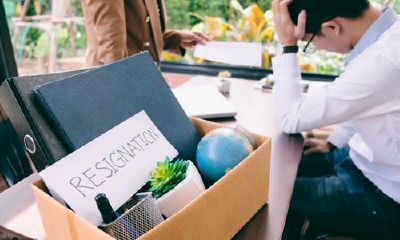 属猴人是什么命格（属猴的人是什么性格特点）