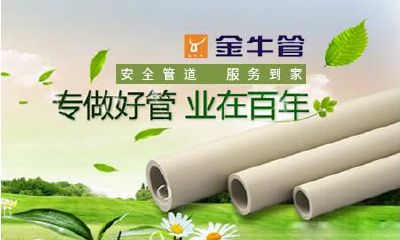 金牛管在全国排第几（金牛座什么排第一）