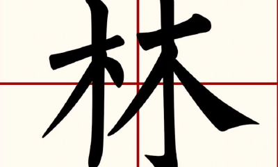 林的取名寓意（林字起名的含义）