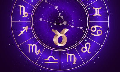 金牛座最怕的动物是什么（双子座男跟什么座最配）