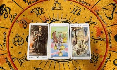 塔罗他是单身吗（塔罗占卜他是否知道我暗恋他）