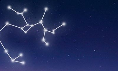 双鱼座说话噎人（双鱼座说你烦的时候）