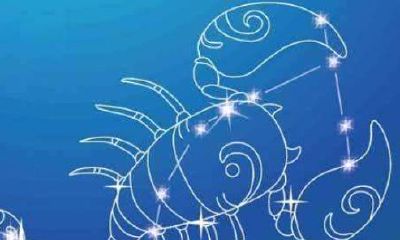 端午节那天生日的人是什么星座（端午节生日的人是什么星座）