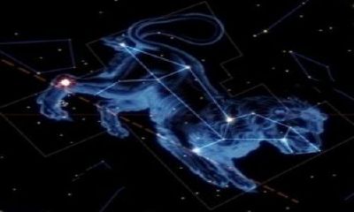 十二星座谁是学霸校花排名（十二星座的对象是什么星座）