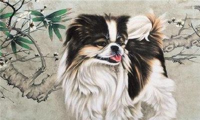 犯太岁的方位不能睡觉吗（犯太岁到底有多严重）