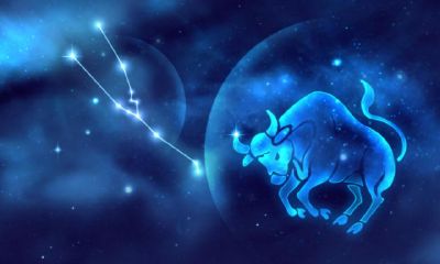 金牛座的特长（金牛座适合学什么艺术）