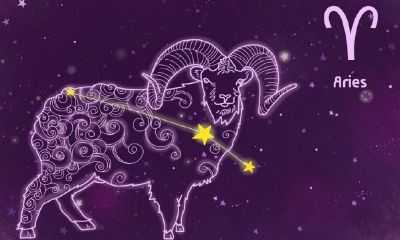 白羊座女生的脾气暴走（狮子座女生性格特点）