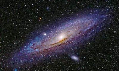 星座的划分和命名是根据（星座分为几种类型）