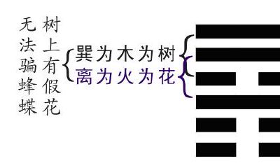 易经渐卦详解（六爻起卦最准的方法一）