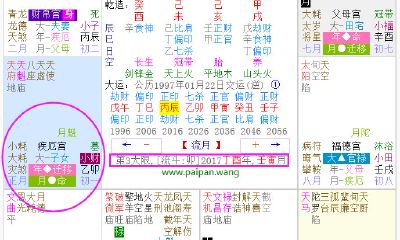 紫微斗数看流月桃花（紫微斗数配对）