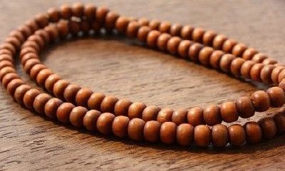 降龙木六道好还是九道好（九道木和六道木区别）